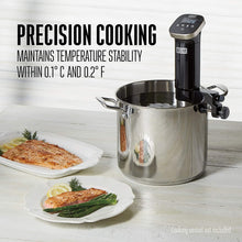 Load image into Gallery viewer, WESTON Sous Vide Immersion Circulator - 36200