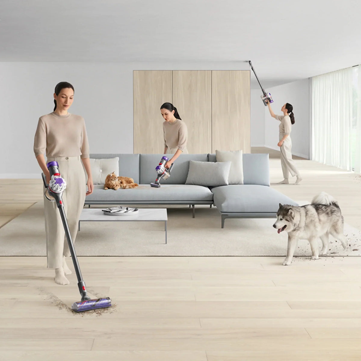Dyson Vacuum Buying Guide: Pick the Right Model