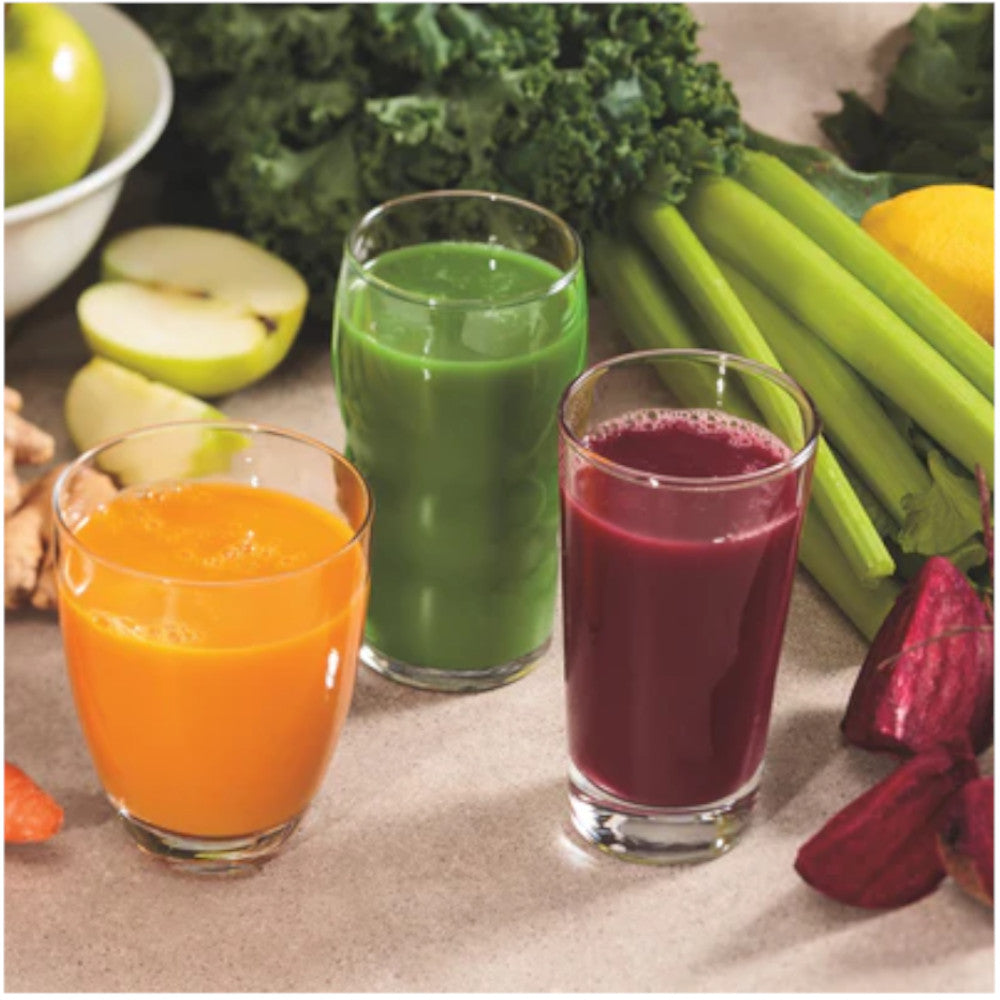 HAMILTON BEACH 67951 Masticating Slow Juicer