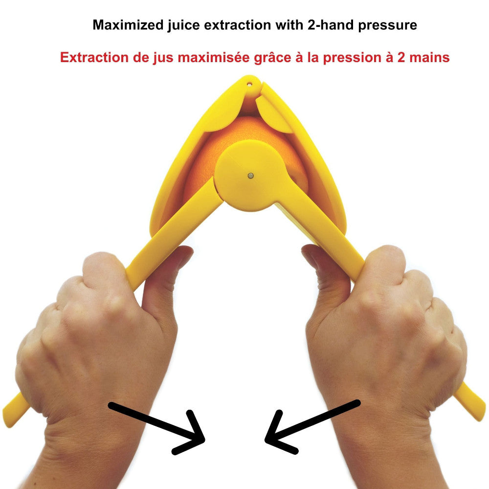 EXTRACTEUR DE JUS PLAT