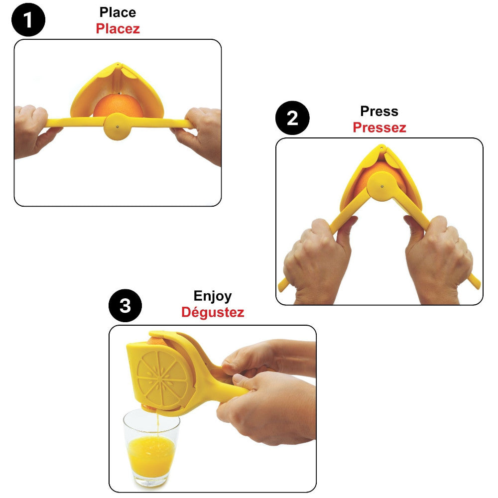 EXTRACTEUR DE JUS PLAT