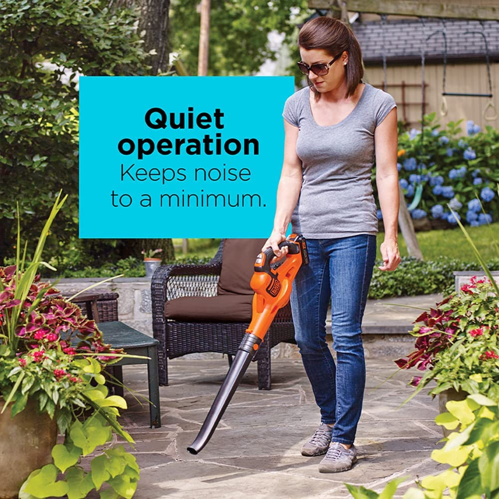 Balayeuse sans fil BLACK+DECKER 20 V MAX* avec Power Boost - LSW321