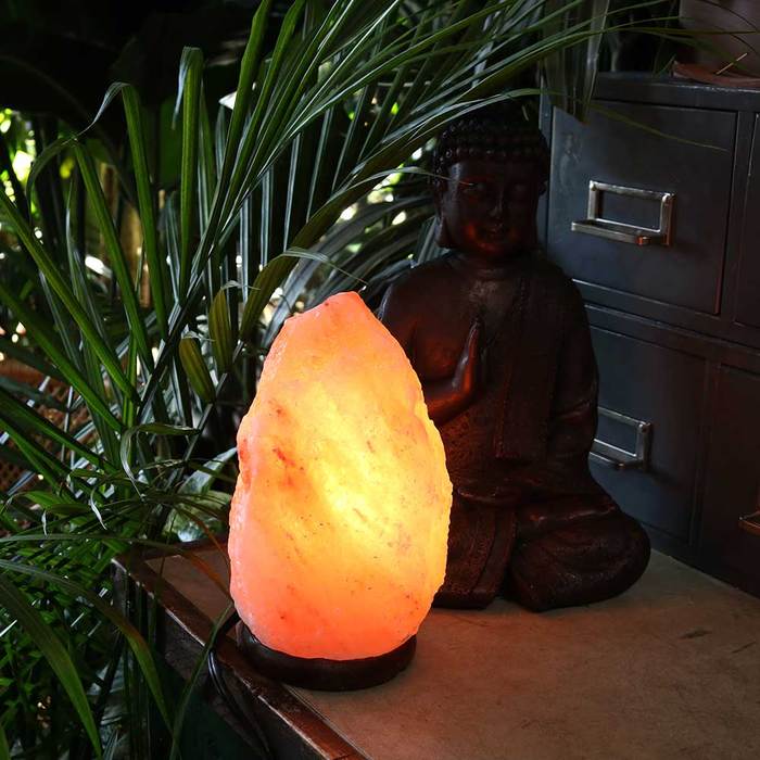Lampe au sel de l'Himalaya RELAXUS 19 cm - 504066