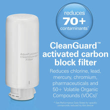 Load image into Gallery viewer, HAMILTON BEACH CLEANGUARD AQUAFUSION Filter - 87325
