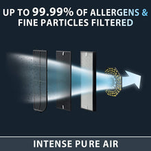 Load image into Gallery viewer, ROWENTA Air Purifier Intense Pure with Nanocaptur Filter  - Blemished package with full warranty. - PU4020U0
